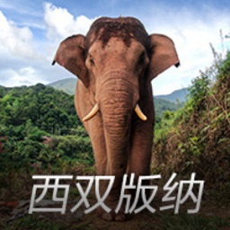 山东舰航母在东、远程火箭炮在西，这就是“台独”面临的“雷霆滚滚”